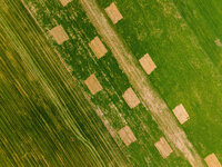 Foto: Luftaufnahme von landwirtschaftlichen Feldern mit rechteckigen Parzellen und unterschiedlichen Grüntönen, die ein geometrisches Muster bilden.