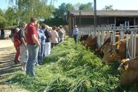 Projekt_Mitmachen-Hofbesuch