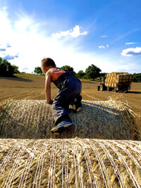 Foto: Eine Person klettert auf einem großen Heuballen in einem offenen Feld. Im Hintergrund ist ein Traktor mit Anhänger voller Heuballen zu sehen. Der Himmel ist blau mit einigen Wolken.