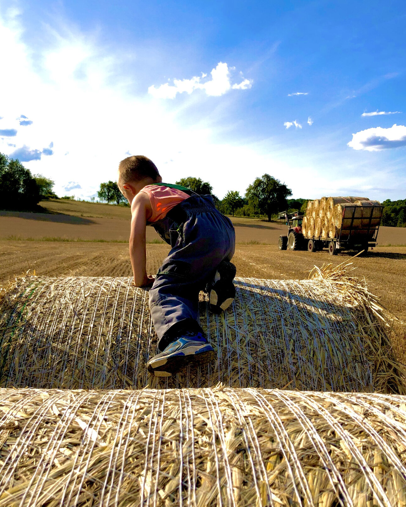 Foto: Eine Person klettert auf einem großen Heuballen in einem offenen Feld. Im Hintergrund ist ein Traktor mit Anhänger voller Heuballen zu sehen. Der Himmel ist blau mit einigen Wolken.